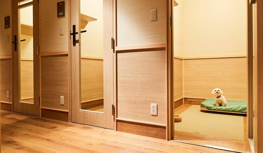 DOG UP VILLA(神戸市)